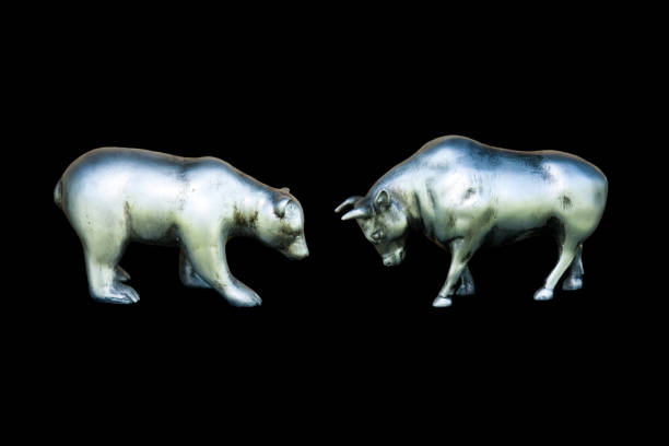 bull and bear - bull bear stock market new york stock exchange foto e immagini stock