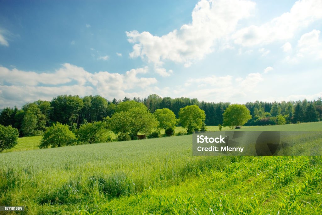 Sommer-Landschaft - Lizenzfrei Agrarbetrieb Stock-Foto