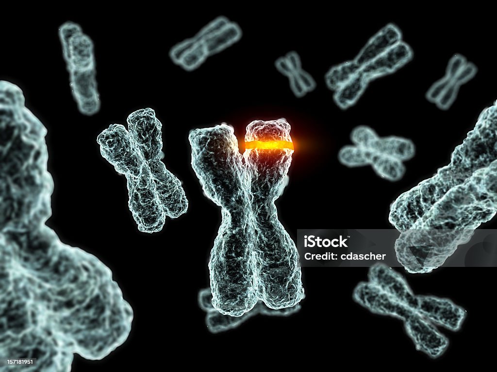 Mutazione - Foto stock royalty-free di Cromosoma