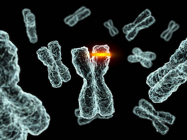 mutação nrti quaisquer duas mutações - chromosome imagens e fotografias de stock