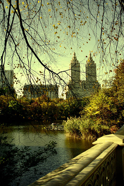 Tarde no Central Park - foto de acervo