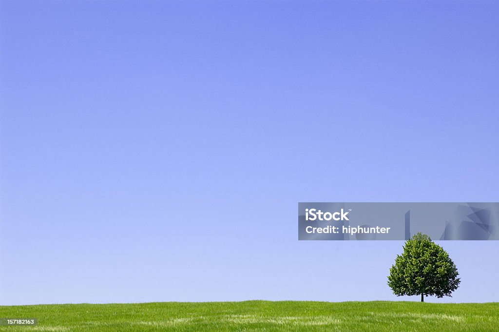 Estate paesaggio con Albero solitario - Foto stock royalty-free di Agricoltura