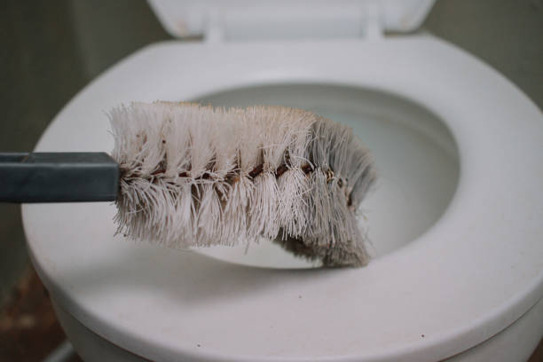 istock toilet brush cleaner 1571828258
