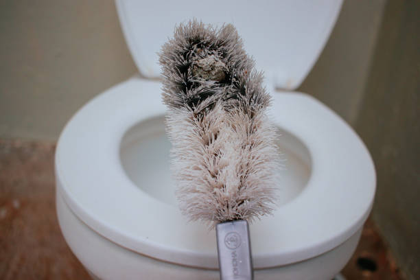 istock toilet brush cleaner 1571839283