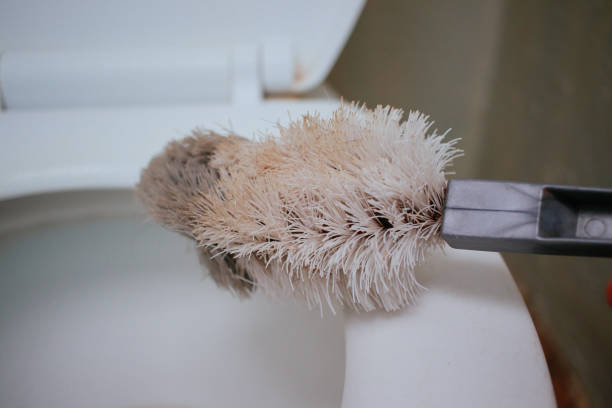istock toilet brush cleaner 1571839838