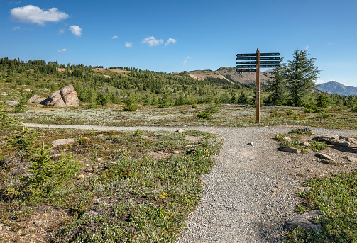 Hiking trail with directional sign post at Sunshine Meadows on the Continental Divide between Alberta and British Columbia