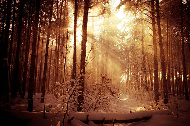 istock Winter landscape wish gods rays 157184231