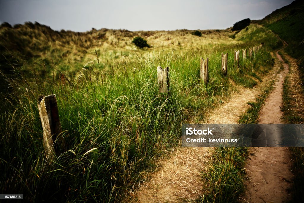 Bamburgh Beach Road - Foto stock royalty-free di Ambientazione esterna