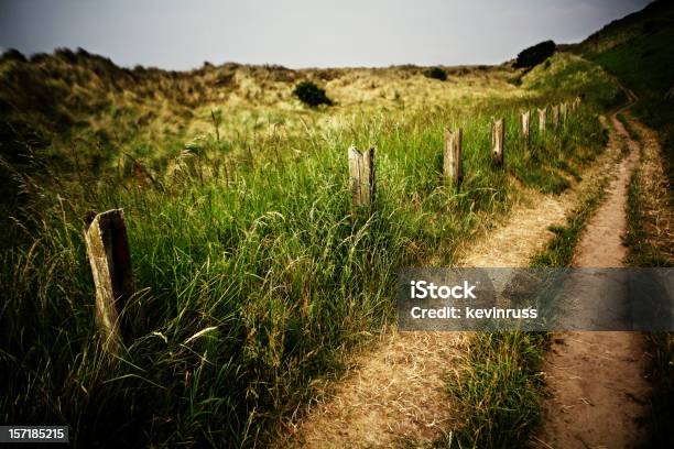 Bamburgh Beach Road - Fotografie stock e altre immagini di Ambientazione esterna - Ambientazione esterna, Bamburgh, Cielo