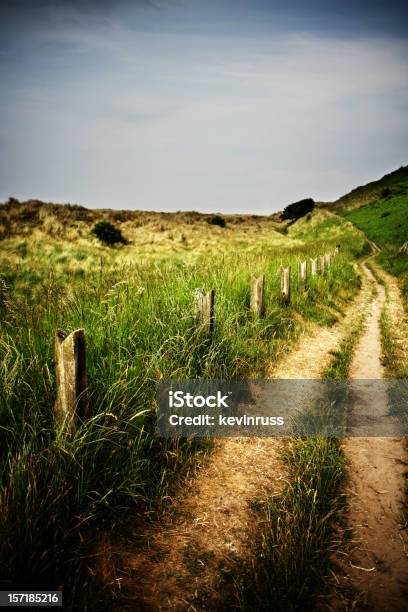 Green Beach Road In England Stockfoto und mehr Bilder von Anhöhe - Anhöhe, Bamburgh, Bedeckter Himmel