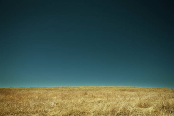 istock Landscape of California with Dark Blue Sky 157185221