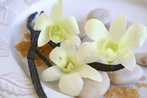 Sweet vanilla orchids and brown sugar granules.