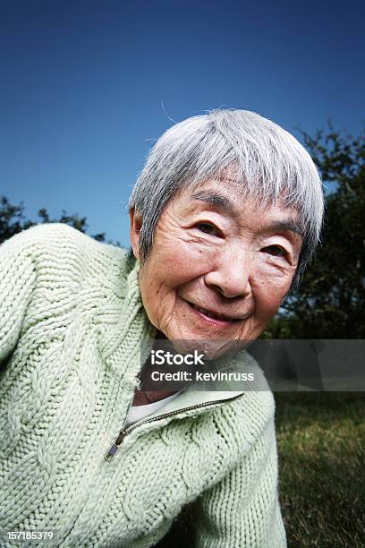 Avó Feliz Japonês Ao Pôr Do Sol Fora - Fotografias de stock e mais imagens de Adulto - Adulto, Alegria, Ao Ar Livre