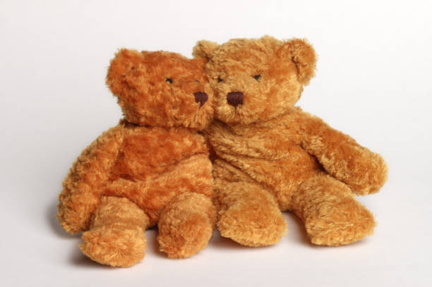 teddy bear; and a toy leopard green background