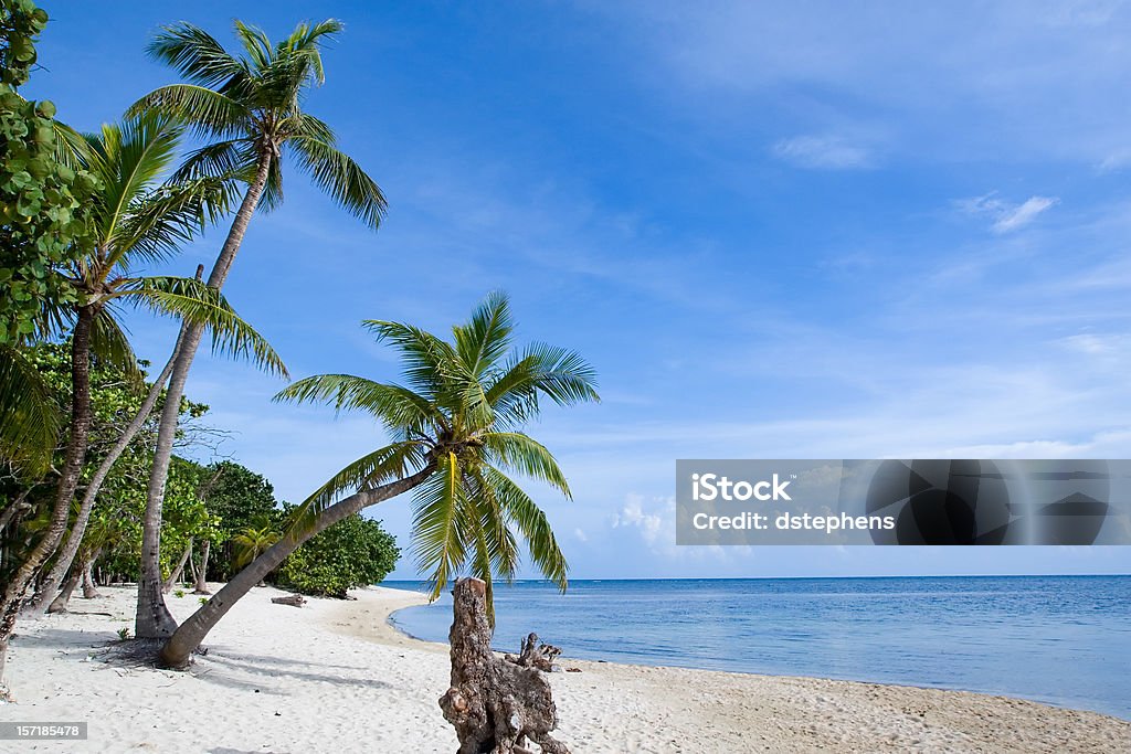 Praia Tropical Palma Par - Royalty-free Alegria Foto de stock