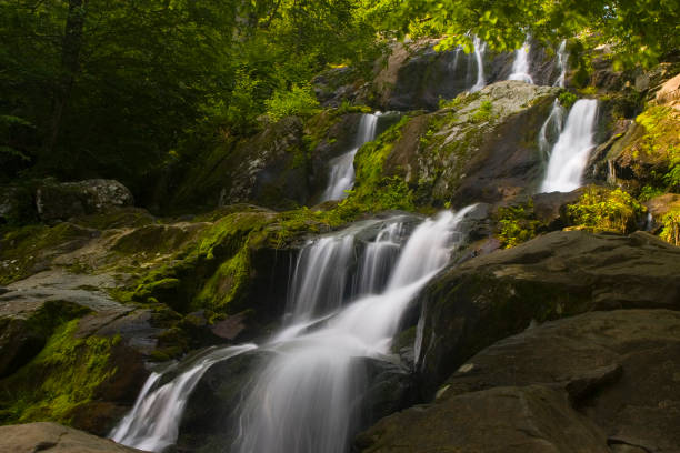 dunkle hollow falls auf der skyline drive, die shenandoah national park - blue ridge mountains appalachian mountains appalachian trail forest stock-fotos und bilder