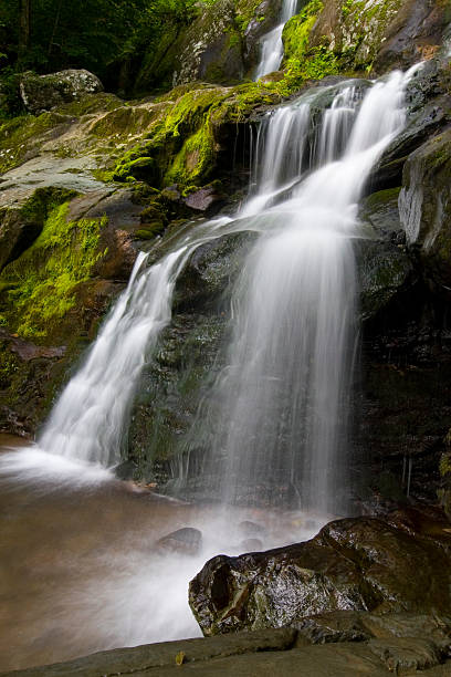 istock Dark hollow falls on Skyline drive, Shenandoah national park 157185582