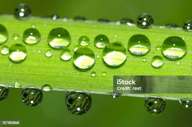 Filo Derba - Fotografie stock e altre immagini di Acqua - Acqua, Ambientazione esterna, Ambiente