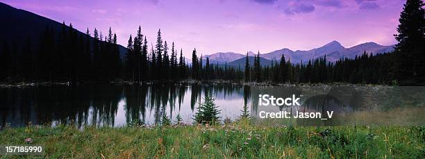 Rocky Mountain Reflections Mit Wildblumen Meadow Stockfoto und mehr Bilder von Berg - Berg, Blau, Entspannung