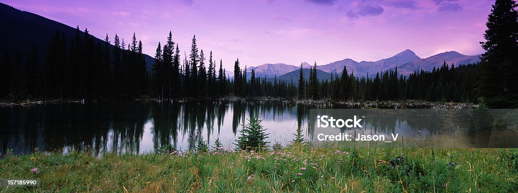 Rocky Mountain riflessioni con prato di campo - Foto stock royalty-free di Acqua