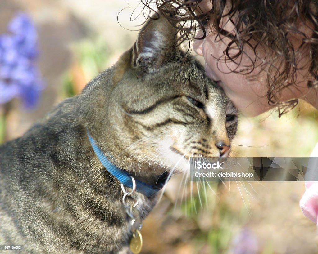 Chica Besando a la Cat - Foto de stock de Gato doméstico libre de derechos