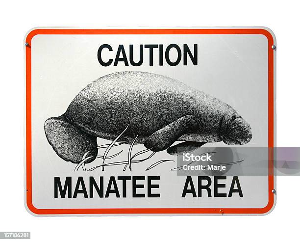 Foto de Área De Manatee e mais fotos de stock de Peixe-boi - Sirenia - Peixe-boi - Sirenia, Estados da Costa do Golfo, Flórida - EUA