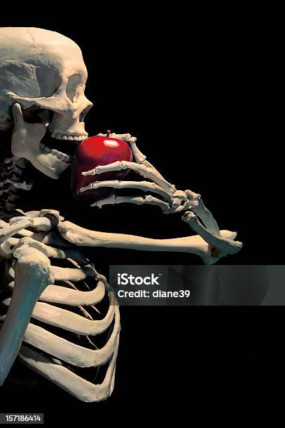 Apple Einen Tag Stockfoto und mehr Bilder von Anatomie - Anatomie, Apfel, Farbbild