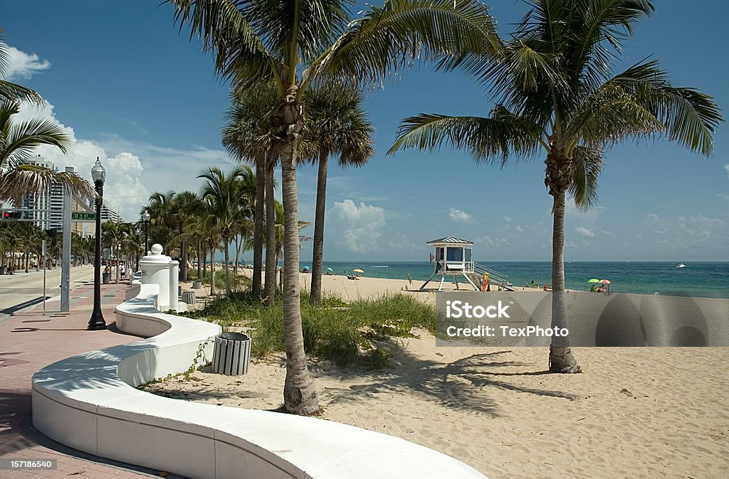 Plage de Fort Lauderdale - Photo de Arbre libre de droits