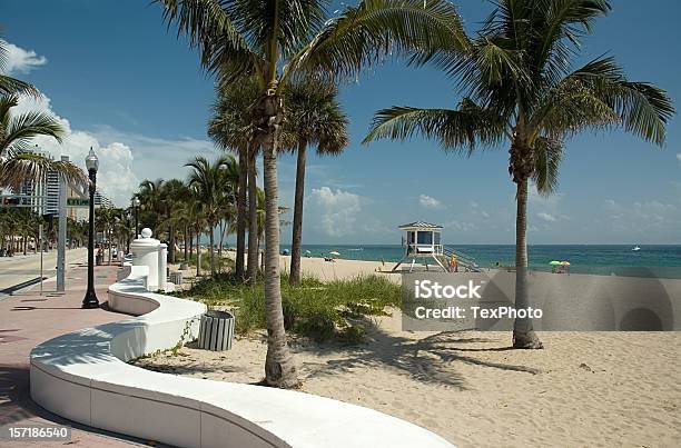 Photo libre de droit de Plage De Fort Lauderdale banque d'images et plus d'images libres de droit de Arbre - Arbre, Bleu, Cabane - Structure bâtie