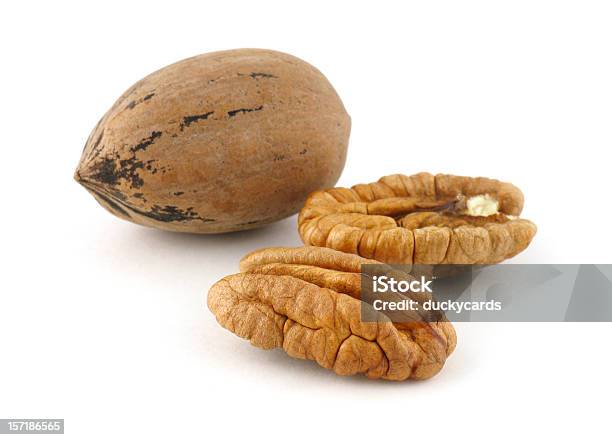 Porca Série Noz Pecan - Fotografias de stock e mais imagens de Noz Pecan - Noz Pecan, Fundo Branco, Figura para recortar