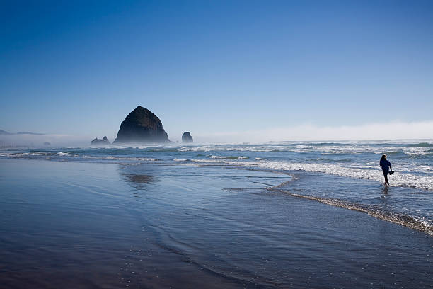 istock Girl walking on the beach 157186575