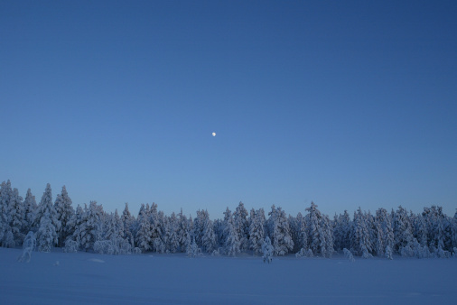 Fresh snow cover in fields and meadows, creating a white covering.