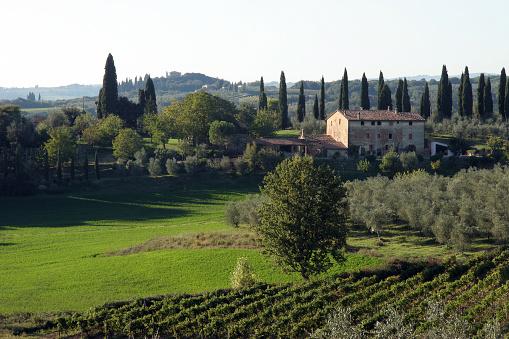 Chianti, Tuscany Italy North East of Siena