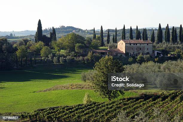 De Chianti Toscana Itália Nordeste De Siena - Fotografias de stock e mais imagens de Itália - Itália, Norte, Gaiole
