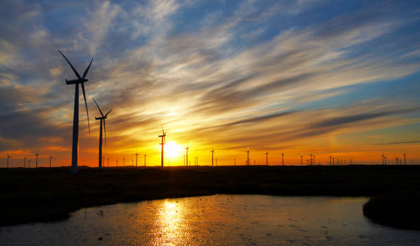 wind turbines against blue yellow and orange sunset with water stock photo