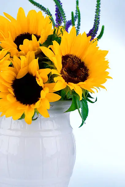 Photo of Bright Sunflowers