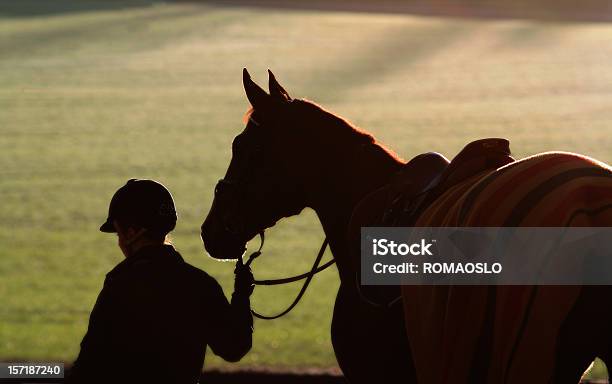 シルエットの女性と彼女の馬の夕暮れ - シルエットのストックフォトや画像を多数ご用意 - シルエット, 純血種馬, ウマ