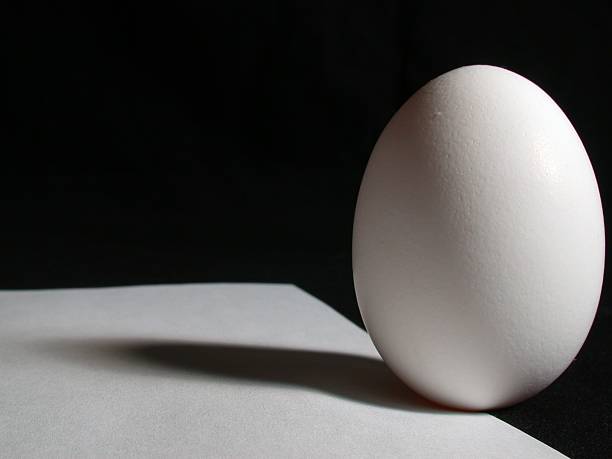 Egg in Black and White stock photo