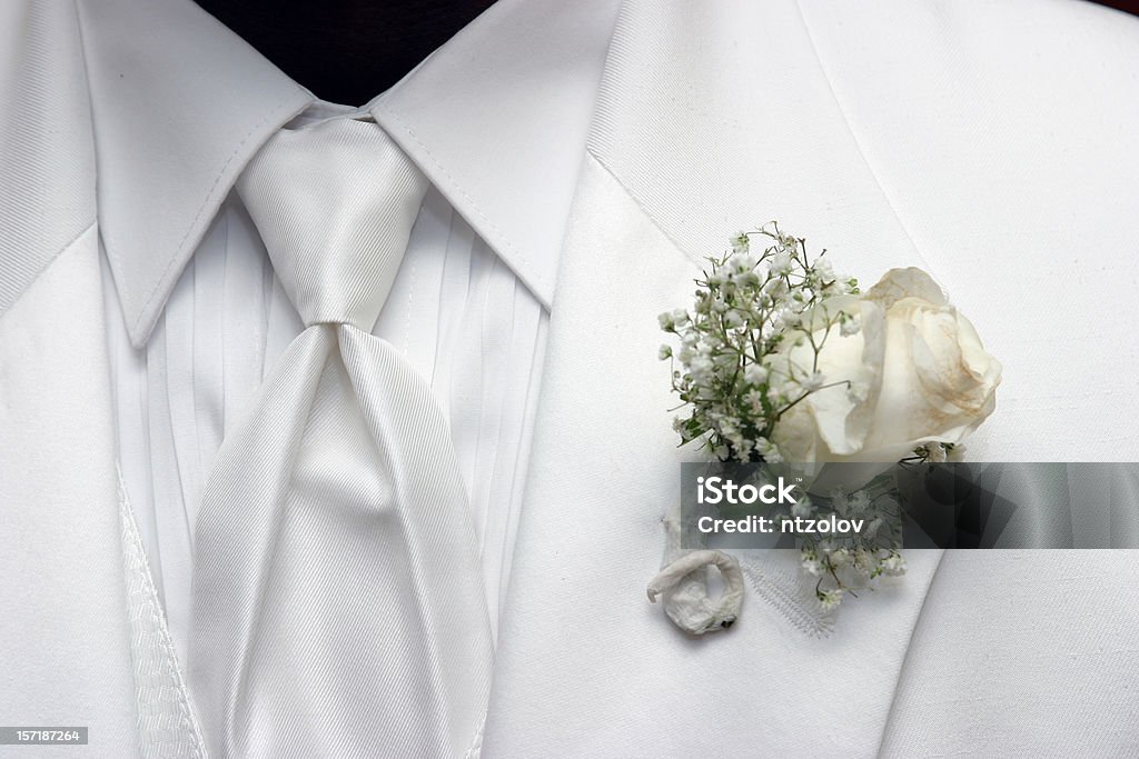 Groom's Tie  Adult Stock Photo