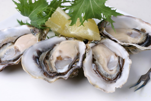 chief opens fresh oysters in French restaurant in Arcachon basin by placing them on crushed ice