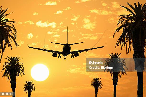 Bemvindo Ao Paradise Avião - Fotografias de stock e mais imagens de Avião - Avião, Amarelo, Palmeira