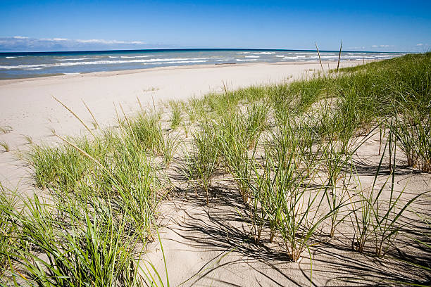 Sand Dunes State Park in Indiana on the southern coast of Lake Michigan