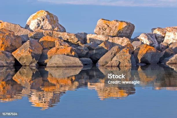 Massi Licheni - Fotografie stock e altre immagini di Acqua - Acqua, Albero, Albero sempreverde