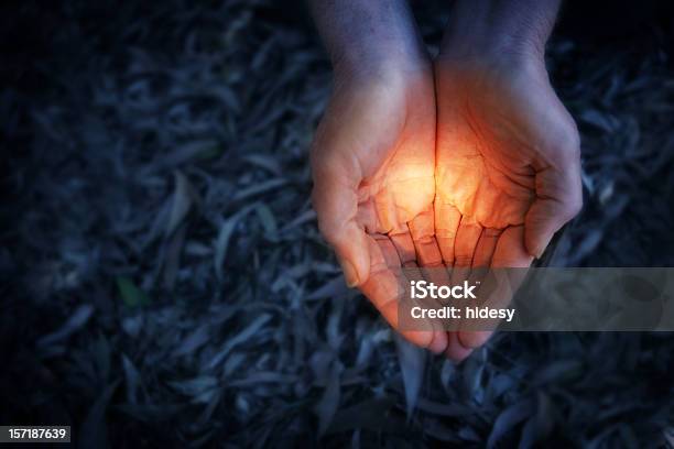 Holding It Stock Photo - Download Image Now - Giving, Hands Cupped, Lighting Equipment