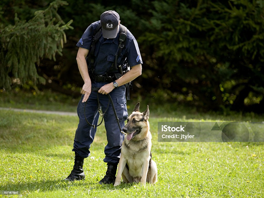 Police Dog Training  Dog Stock Photo