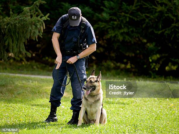 Police Dog Training Stock Photo - Download Image Now - Dog, Police Force, Animal Trainer