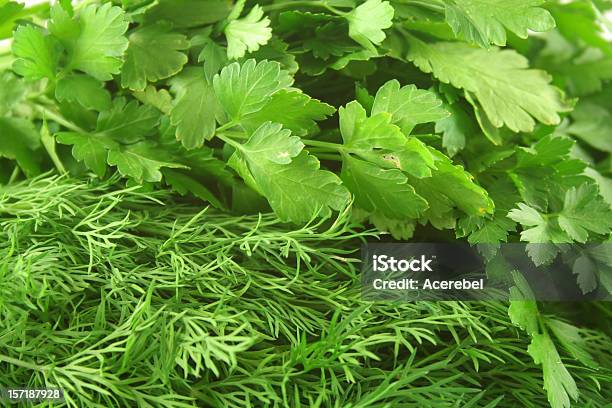 Dill Weed Und Italienische Petersilie Stockfoto und mehr Bilder von Bildhintergrund - Bildhintergrund, Blatt - Pflanzenbestandteile, Dill