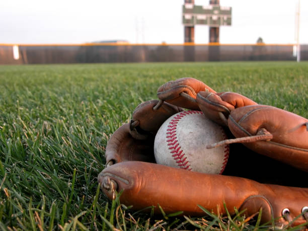 luva de beisebol na grama - baseball baseballs catching baseball glove imagens e fotografias de stock