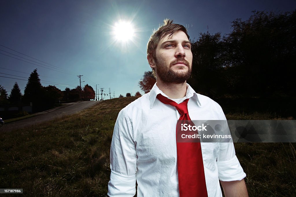 Homem de negócios de campo e sol - Foto de stock de Adulto royalty-free