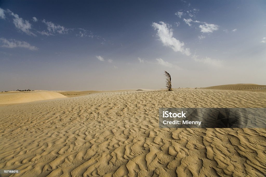 Beautiful Desert Landscape  Abandoned Stock Photo